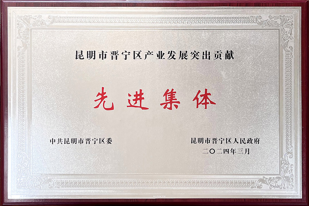 昆明市晋宁区产业发展突出贡献 先进集体