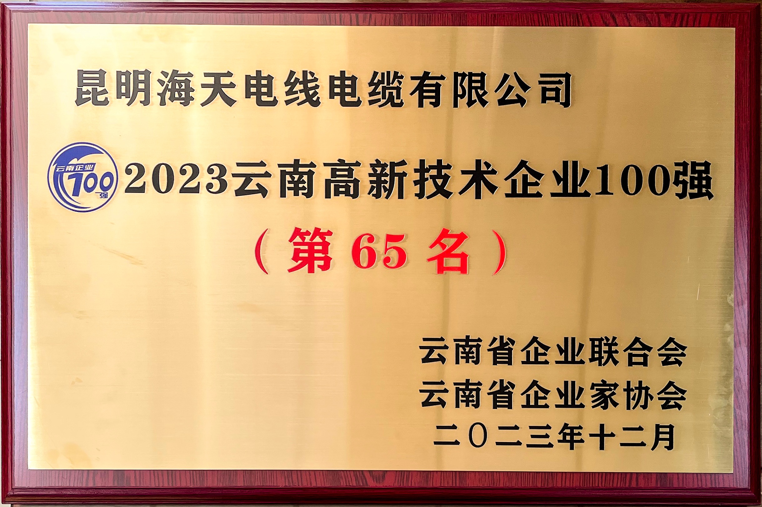 2023云南高新技术企业100强