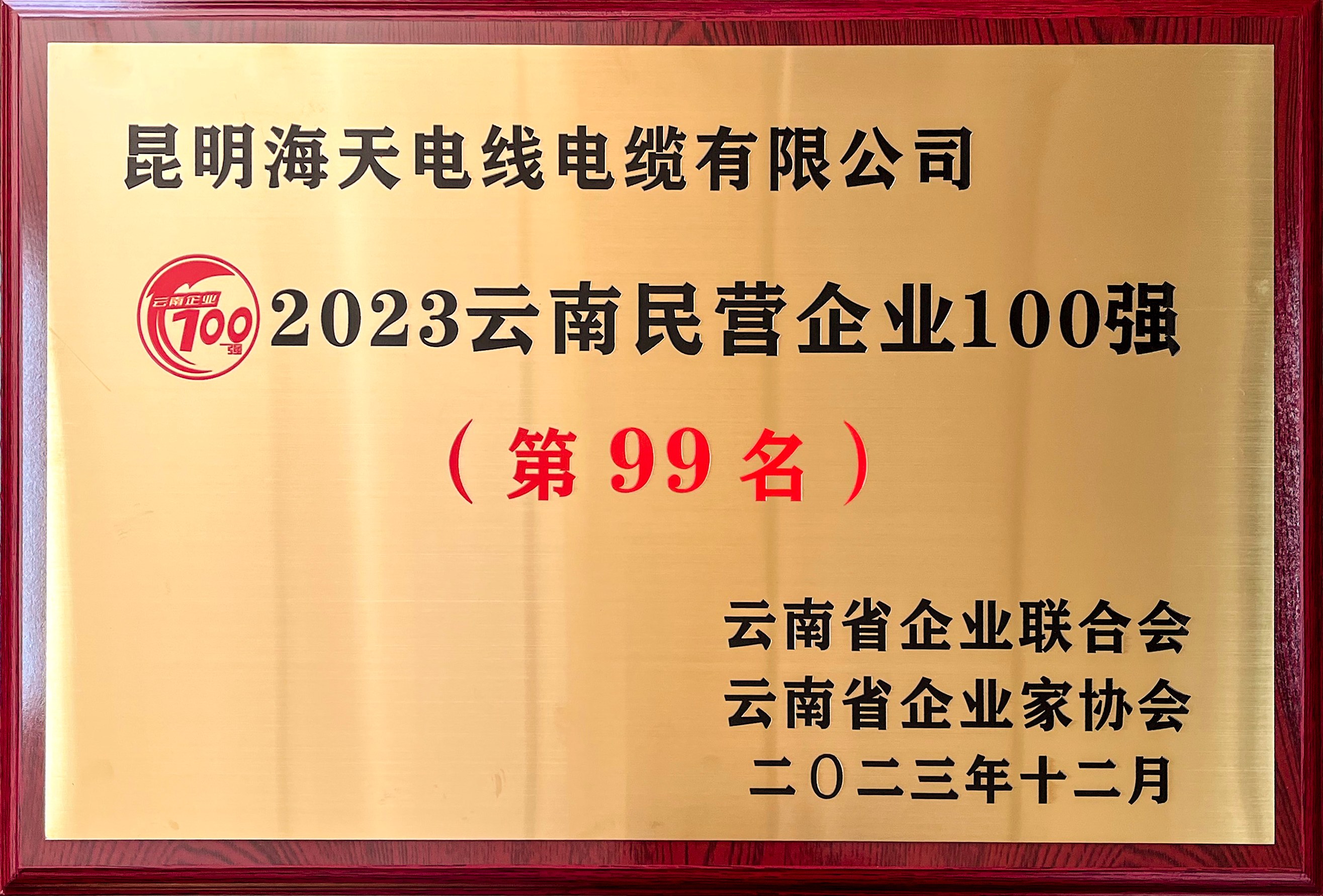 2023云南民营企业100强