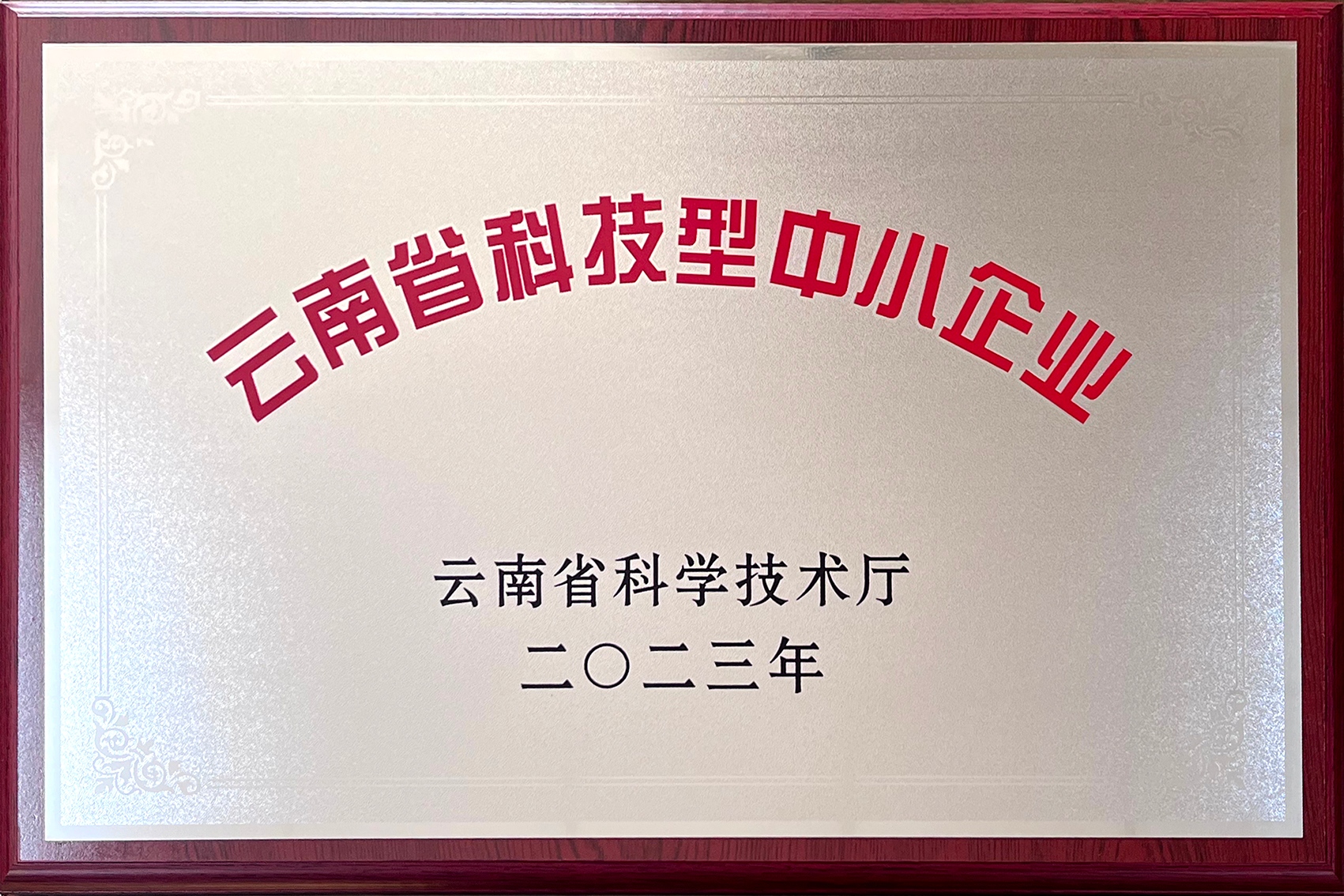 云南省科技型中小企业