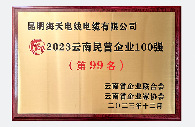 2023云南民营企业100强