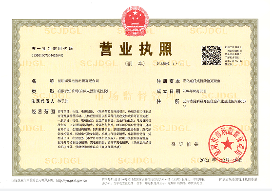 营业执照